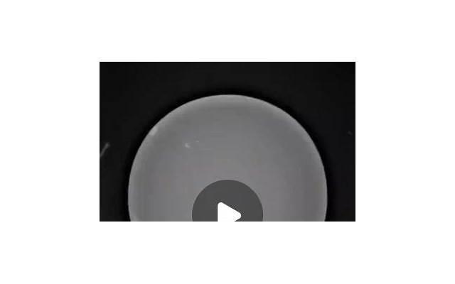 撩汉的绝招聊天(撩汉的绝招聊天套路)