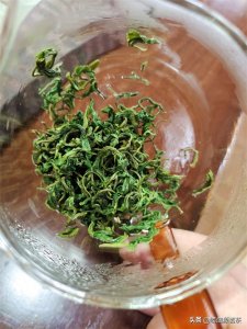 ​200元一斤的崂山绿茶怎么样？