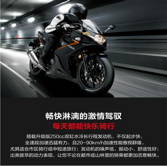 豪爵铃木gsx250r最新配置（2022款豪爵铃木GSX250R-A详情介绍）(11)
