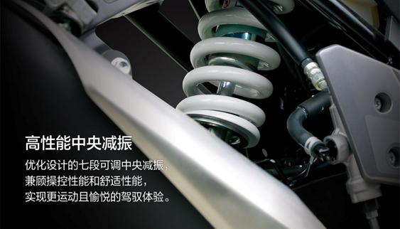 豪爵铃木gsx250r最新配置（2022款豪爵铃木GSX250R-A详情介绍）(17)