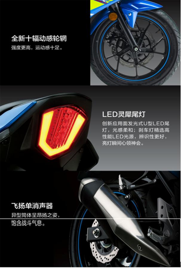 豪爵铃木gsx250r最新配置（2022款豪爵铃木GSX250R-A详情介绍）(10)