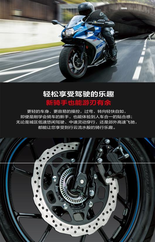 豪爵铃木gsx250r最新配置（2022款豪爵铃木GSX250R-A详情介绍）(13)