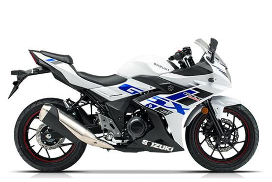 豪爵铃木gsx250r最新配置（2022款豪爵铃木GSX250R-A详情介绍）(3)
