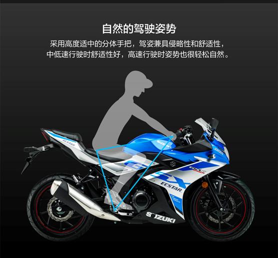 豪爵铃木gsx250r最新配置（2022款豪爵铃木GSX250R-A详情介绍）(15)