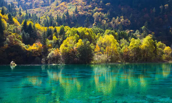 九寨沟在那个省,九寨沟是哪个省的图2