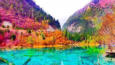 ​九寨沟在那个省,九寨沟是哪个省的