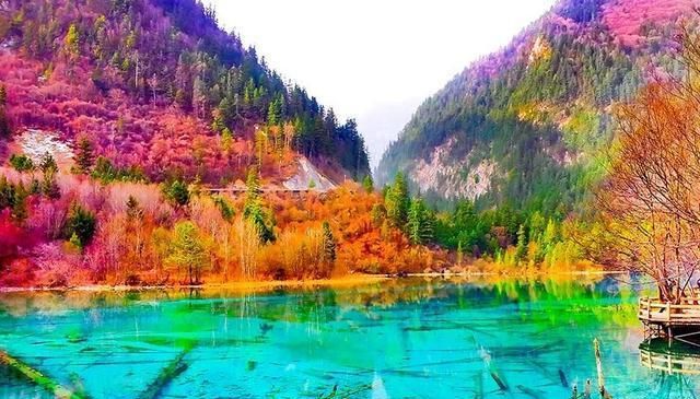 九寨沟是哪个省的