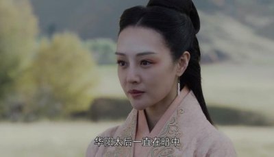 ​芈华历史人物简介（芈华这个女人一点都不简单，嬴政压根没有爱过她）