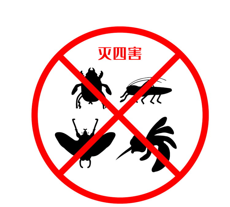 四害是指哪4种，麻雀