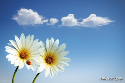 ​老公刚结婚要接婆婆一起住，老公接家公一起住