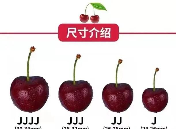 车厘子4jd是什么意思