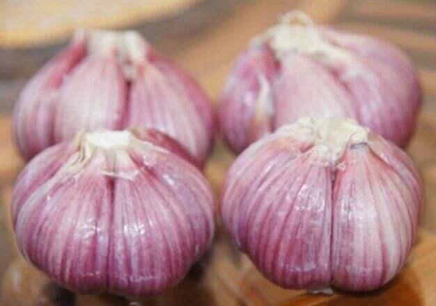 牙齿痛得怎么快速止痛（8种方法立刻止痛）(5)