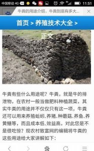 ​牛粪的用途，干牛粪的用途与价值？