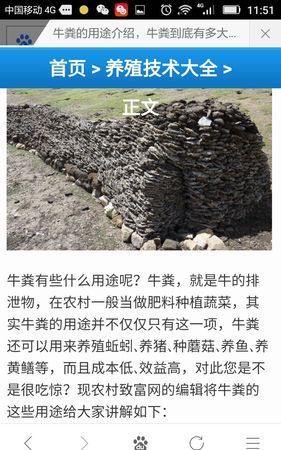 干牛粪的用途与价值