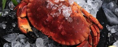 ​螃蟹塑料包装盒能蒸吗