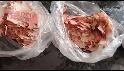 ​湖北黄石7旬老人将2万元积蓄藏土里，不料被虫咬烂？银行回应：钱还在兑换中