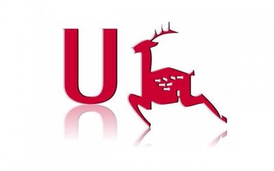 ​闪婚的人过得好吗