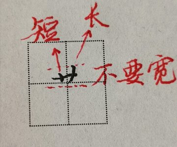 ​看了这位老师的讲解，终于知道草字头的写法了，受教了