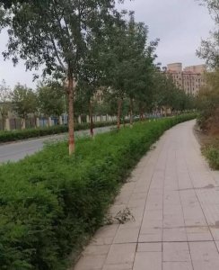 ​结婚彩礼一般多少钱(中国嫁娶彩礼传统)