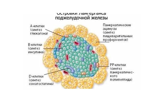 写友谊的结尾(写友谊的结尾段) 写友谊的结尾(写友谊的结尾段)