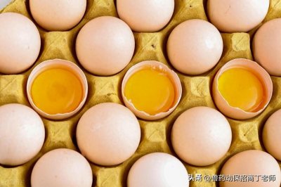 ​今日蛋价：2025年3月14日全国鸡蛋行情报价