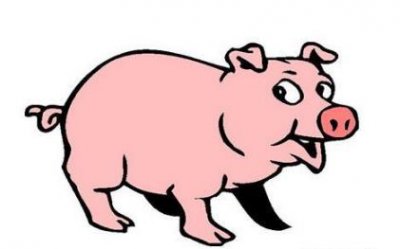 ​一飞冲天，事业发展蒸蒸日上的生肖！