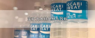 ​宝矿力水特是什么饮料