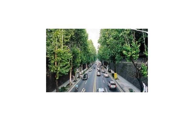 怀孕期间能过性生活吗？这6类孕妇过性生活有风险