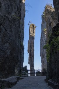 ​湖北恩施大峡谷“一炷香”，为何屹立千年不倒？