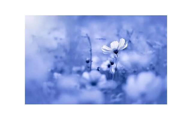 生理周期影响女性的性欲吗 女性性欲与什么有关