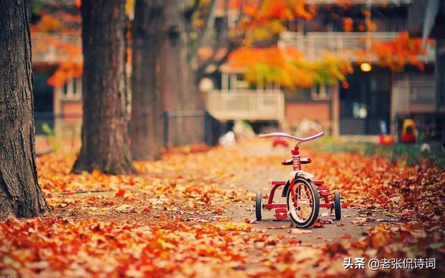 霜叶红于二月花全诗注释(霜叶红于二月花)(3)