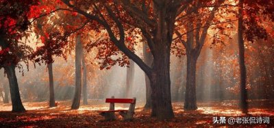 ​霜叶红于二月花全诗注释（霜叶红于二月花）