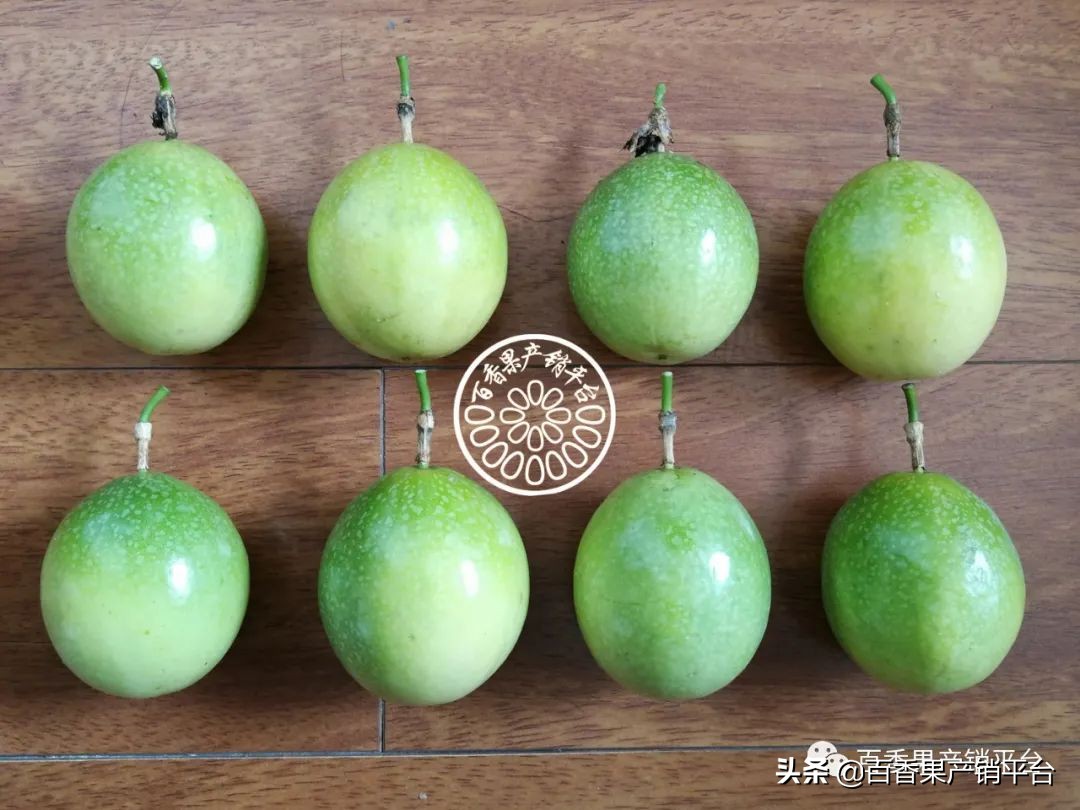 甜百香果是什么(最热门黄金百香果新品种)