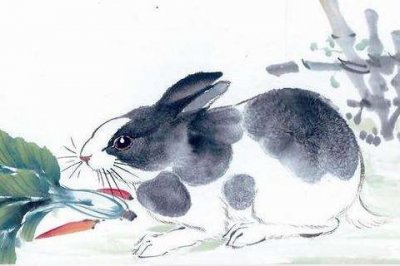 ​属兔男生和什么属相的女生最配