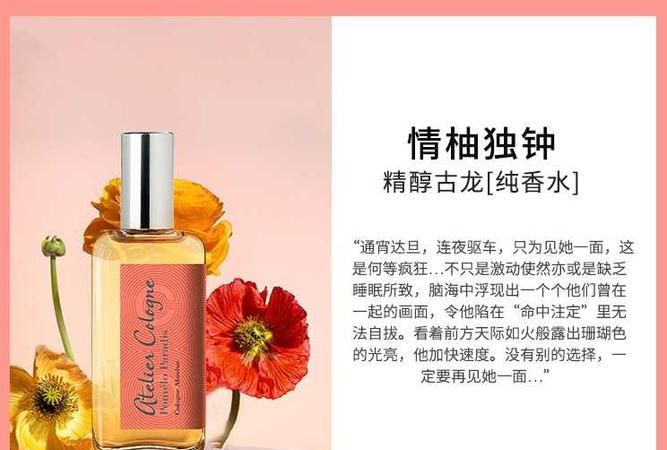 情有独钟的钟是什么意思啊