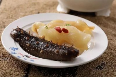 ​海参和鱼胶哪个更有营养