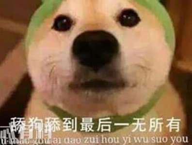 ​网络用语舔狗是什么意思-（舔狗什么意思网络用语）