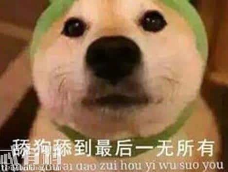 网络用语舔狗是什么意思-（舔狗什么意思网络用语）