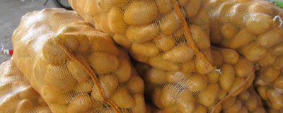 ​土豆怎么保存不发芽不发绿