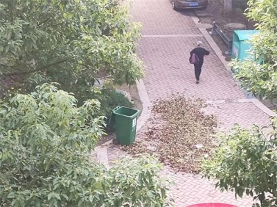 ​清明节的前夜让我发现了一个大秘密㊙️