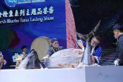 ​“进”现场｜500余斤蓝鳍金枪鱼开鱼变刺身，一组照片带你现场直击