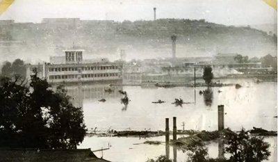 ​1983年陕西发生洪灾，一个月后街头出现成千上万的蛇，怎么回事？