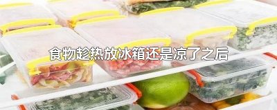 ​食物趁热放冰箱还是凉了之后