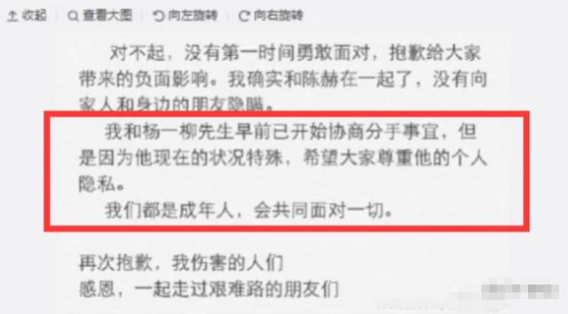 陈赫人气为什么这么高（陈赫陨落史）(30)