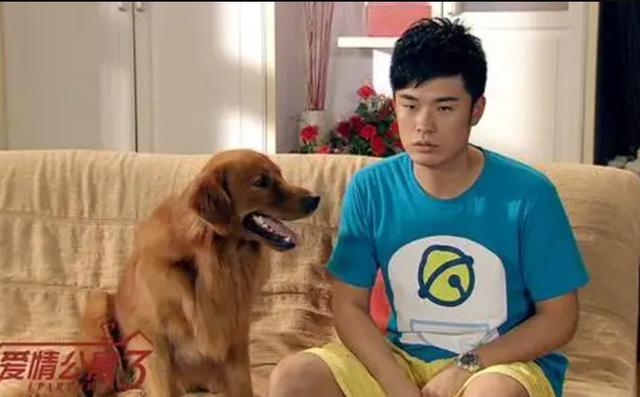 陈赫人气为什么这么高（陈赫陨落史）(14)