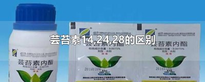 ​芸苔素14,24,28的区别