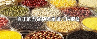 ​真正的五谷杂粮是哪几种粮食
