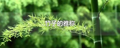 ​竹子的雅称