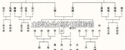 ​主要社会关系书面称谓