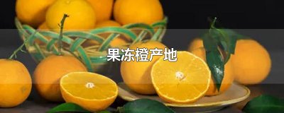 ​果冻橙产地